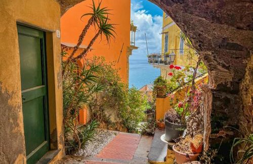Cervo House | Discover Borgo Suite - Cervo: Family & Pet Friendly Escape