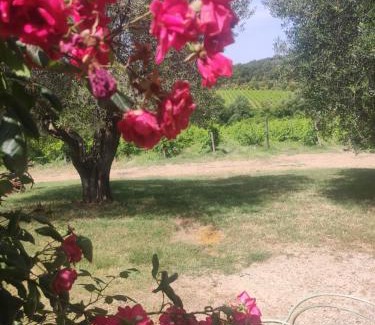 Montalcino House | Discover Borgo Villa a Tolli: Rated 9/10, Pet Friendly Retreat