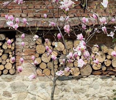 Koprivshtitsa House | Family-Friendly Escape at Borimechkova Kashta, Rated 8.4/10