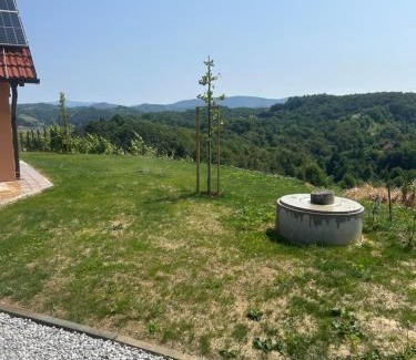 Gorisnica Cabin | Borl Apartment