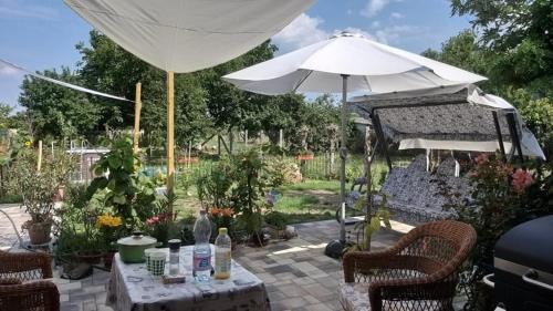Ocseny Apartment | Pet-Friendly Bormegálló Vendégház with Exceptional 9.3 Rating