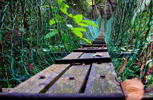 Miri Hotel | Experience Nature at Borneo Tropical Rainforest Resort