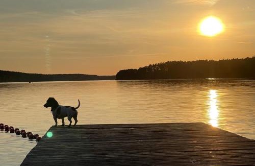 Brusy Other | Pet-Friendly Borowy Glamp: Oceanfront Retreat with a 9.6 Rating