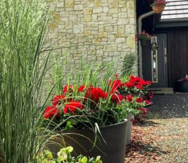 Wielka Wies Bed & Breakfast | Experience Boski Zakątek: Oceanfront Pet-Friendly Retreat