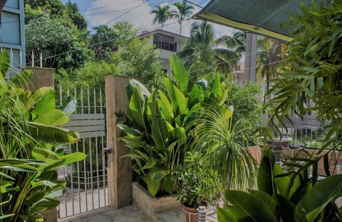 Municipality of Playa Bed & Breakfast | Bosque de la Habana