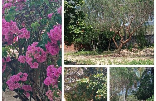 Senhor Do Bonfim House | Bosque dos coqueiros casa de temporada