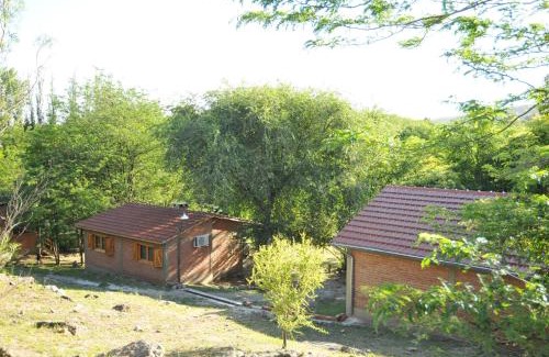 Villa Icho Cruz House | Enchanting Bosque Encantado Cabañas with Oceanfront Pool