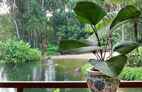 Whyanbeel House | Unforgettable Botanical Ark Retreat Near the Daintree