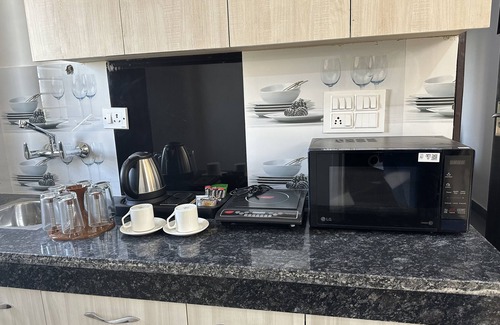 DLF Phase 5 Apartment | Botanical Oasis in the Heart of the City - Plum Tree Hotels