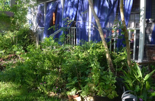 Bastrop House | Botanical Retreat Cottage, 30 Minutes From Austin