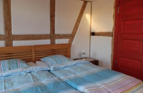 Strodehne Apartment | Botanische Botschaft: Oceanfront Retreat with Top Amenities