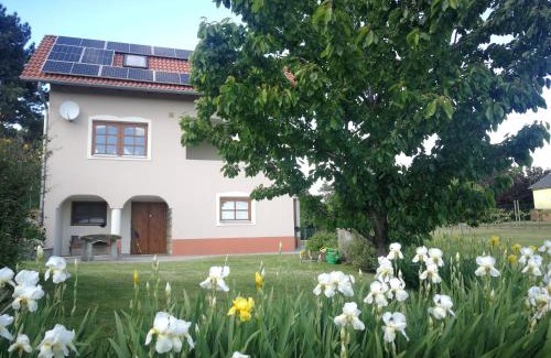 Rezi House | Highly Rated Bottyahát Guesthouse: Family & Pet Friendly Stay
