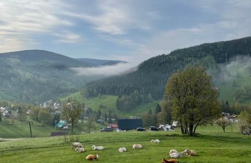 Pec pod Snezkou Ski Chalet | Family-Friendly Bouda u Vleku with Kitchen & Perfect Ratings