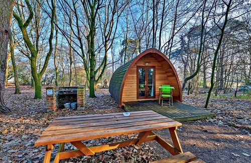 West Stow House | Enchanting Woodland Glamping MegaPod - Boudicca Awaits