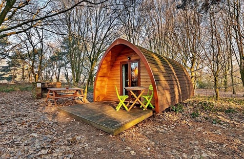 West Stow House | Enchanting Woodland Glamping MegaPod - Boudicca Awaits