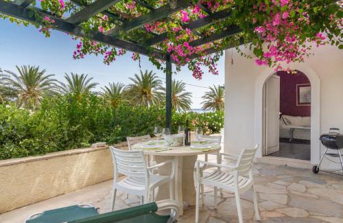 Ayia Fotia Apartment | Pet-Friendly Bougainvillea House in Crete - Rated 9.5/10
