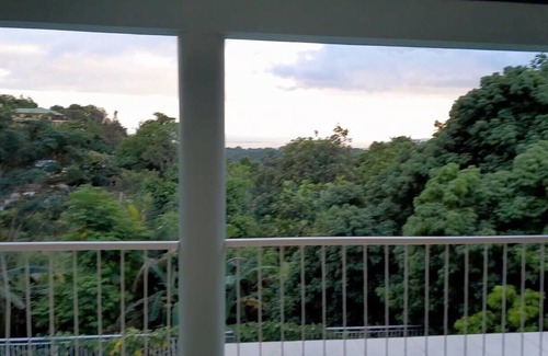 Saint Andrew House | Exquisite Bougainvillea Palms: Pet-Friendly Family Retreat