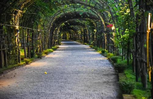 Guwahati Resort | Relax at Bougainvillea Retreat & Spa with Oceanfront Views
