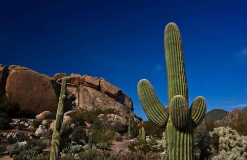 The Boulders Resort | Tranquil Boulders Resort & Spa Scottsdale, Curio Collection