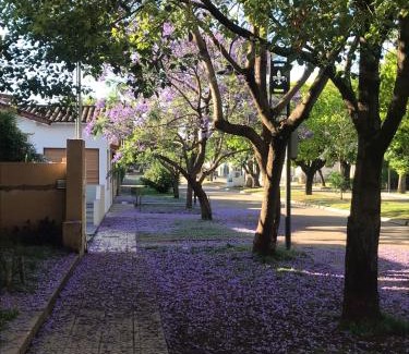 San Antonio de Areco Apartment | Guest Rated 9.7: Boulevard Alsina 5, Pet and Child Friendly