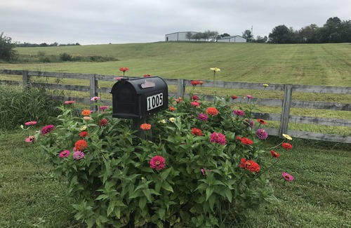 Harrodsburg Apartment | Relaxing Getaway near Bourbon Trail & Horse Farms
