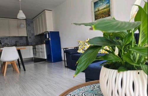 Plovdiv Apartment | Boutique Apartment blue 3