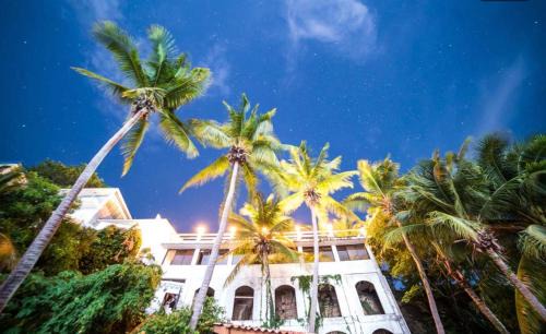 Contadora Island Hotel | Elegant Beachfront Boutique Hotel on Isla Contadora