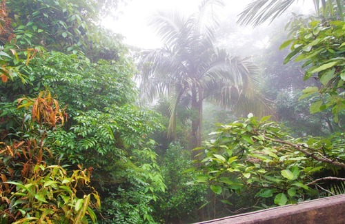 England Creek Cottage | Discover Bowerbird: Mt Glorious Getaways with Family-Friendly Amenities