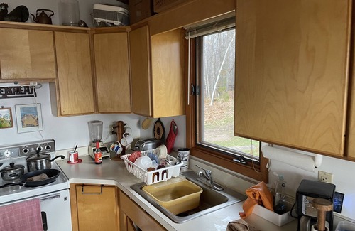 Deerwood Cabin | Experience Northland Woods Cabin by the Fishing Lake!