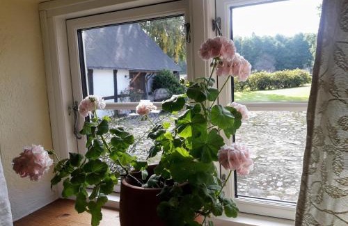 Brosarp Apartment | Family-Friendly Retreat at Brösarp Källagården Stora Gårdslägenheten