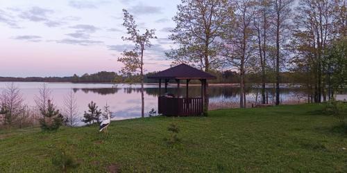 Latgale House | Relaxing Retreat at Brīvdienu māja Dinary - Pet Friendly Getaway