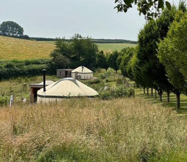 Bridport Other | Exceptional Bracken Yurt at Walnut Farm Glamping Retreat