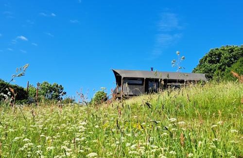 Ivybridge Other | Experience Brackenhill Glamping: Safari Tent with Hot Tub