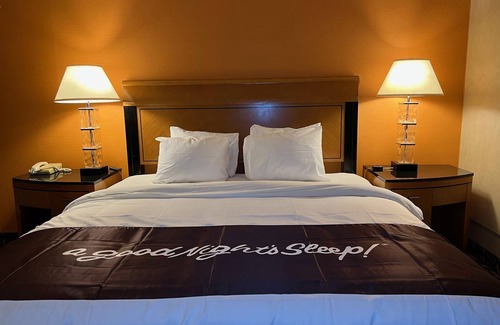 Windsor Locks Hotel | Inviting Stay at Bradley Inn with Eco-Friendly Amenities