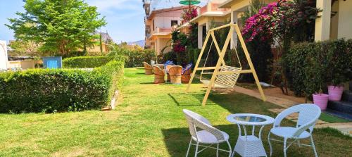Pushkar Hotel | Relax at Brahma Heritage: Poolside Nature Retreat