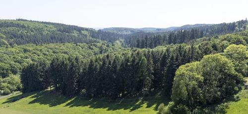 Cinderford House | Experience Brambles: Family-Friendly 4-Star Retreat