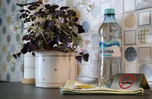 Cluj-Napoca Apartment | Bran's Apartment: Guest Rated 9.6, Family & Pet Friendly