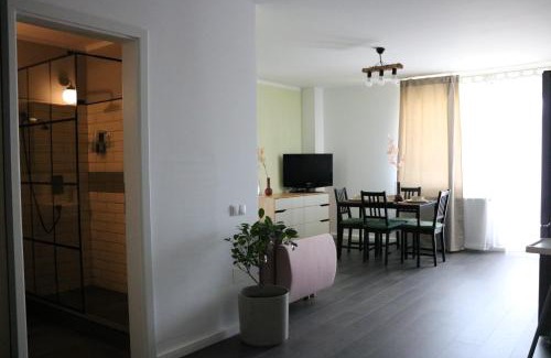 Cluj-Napoca Apartment | Bran's Apartment: Guest Rated 9.6, Family & Pet Friendly