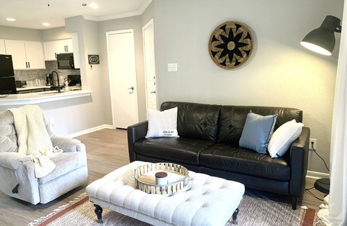 Astrodome Apartment | Brand New 1BR Retreat in Houston Med Center - Guest Rated 9.8