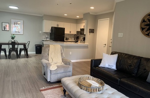 Astrodome Apartment | Brand New 1BR Retreat in Houston Med Center - Guest Rated 9.8