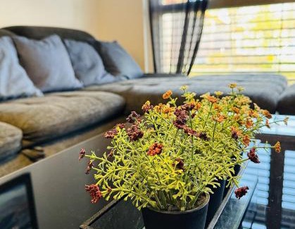 Donaustadt Apartment | New Apartment in Prime Location Near VIC/Danube - 9.3/10