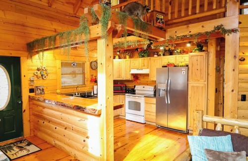 Blue Eye Cabin | Cozy Log Cabin Retreat Above Lake with Hot Tub & Spa