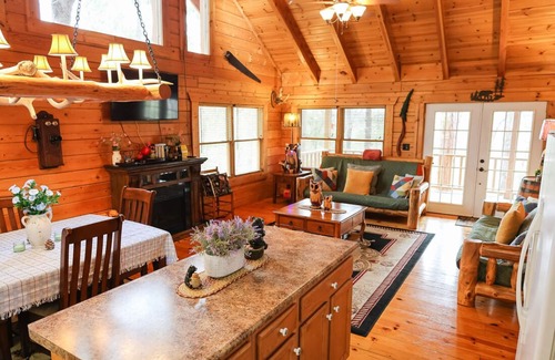 Blue Eye Cabin | Serene Branson Log Cabin with Mountain Views & Private Porch