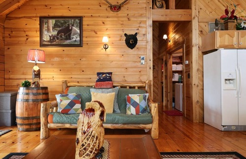 Blue Eye Cabin | Serene Branson Log Cabin with Mountain Views & Private Porch