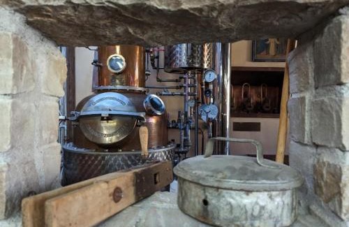 Zuzenhausen Hotel | Family-Friendly Retreat at Brauereigasthof Dachsenfranz