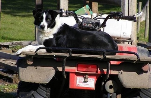 Waitpinga Other | Top-Rated Breakaway Farmstay with Pool in Victor Harbor