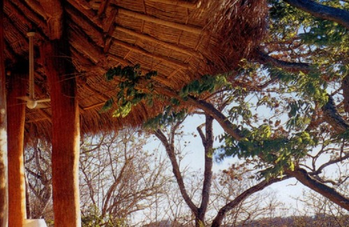 Ixtapa Villa | Experience the Cliffside Villa: Top Resort in Punta Ixtapa