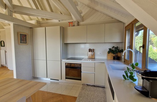Jouxtens-Mezery Apartment | Captivating Views of Lake Geneva Await You at Our Hotel