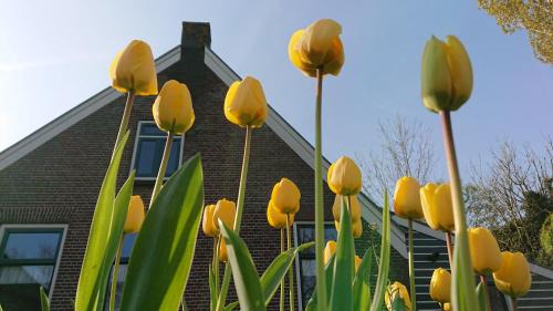Municipality of Woerden House | Pet-Friendly Breeveld Cottage: Family Retreat with High Ratings