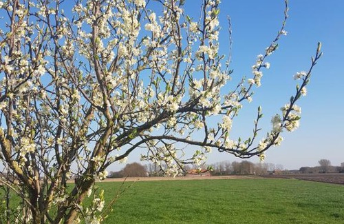 Vortum-Mullem Other | Discover Brembroeken at De Houtendonck: Guest Rated 8/10